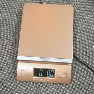 Trac Bronze Digital Scale